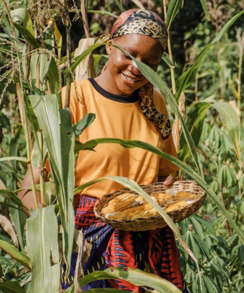 ទទួលបានធានារ៉ាប់រង